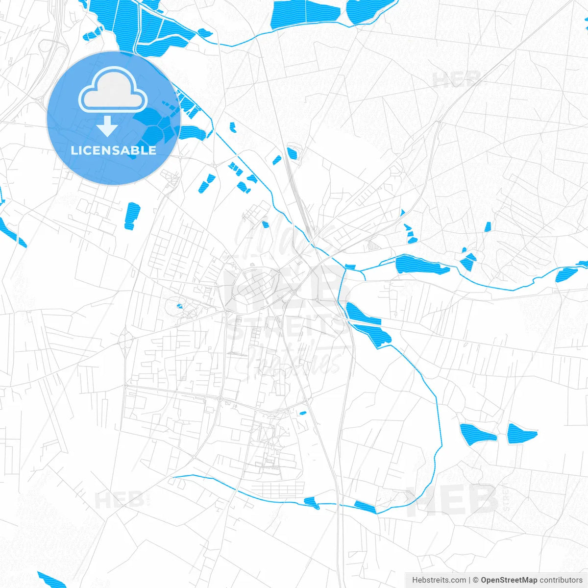Żory, Poland PDF vector map with water in focus
