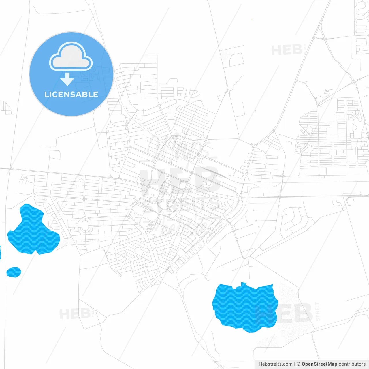Welkom, South Africa PDF vector map with water in focus