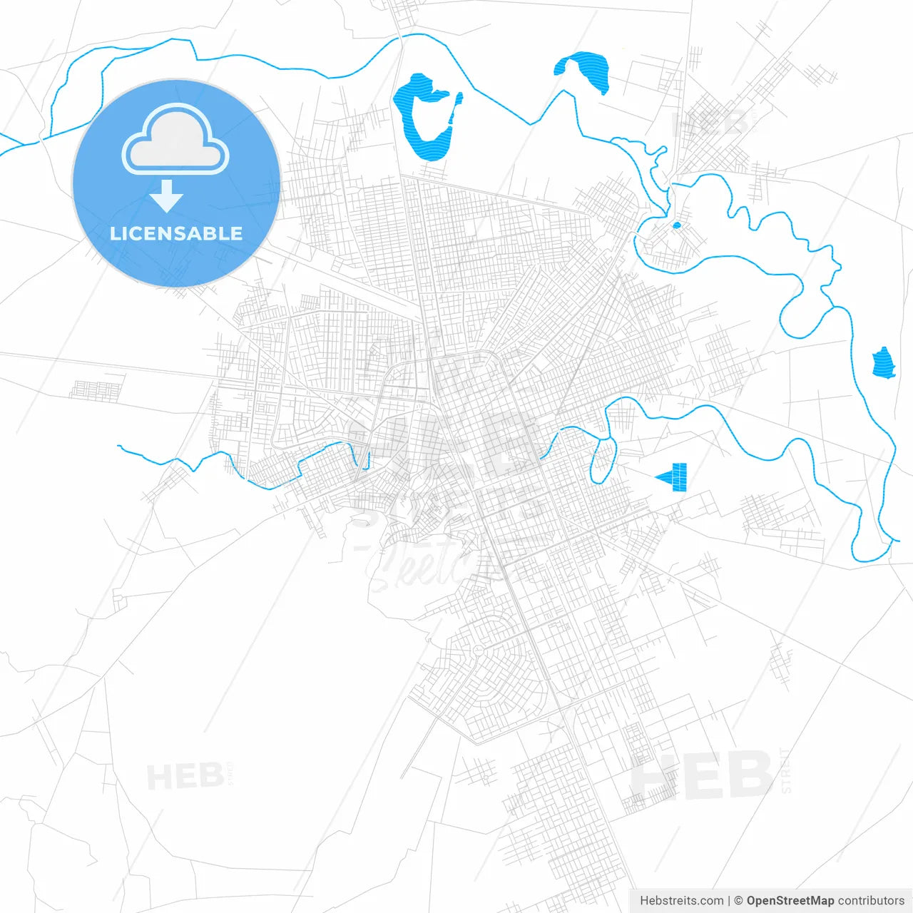 Juliaca, Peru PDF vector map with water in focus