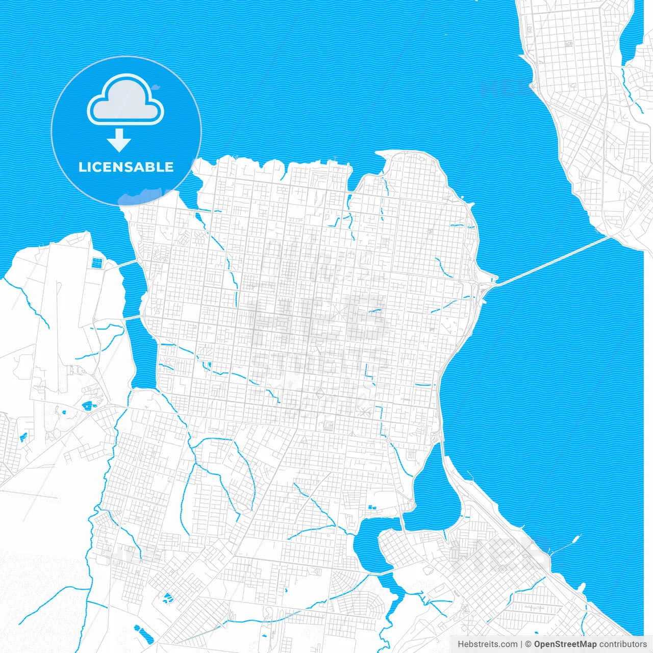 Posadas, Argentina PDF vector map with water in focus