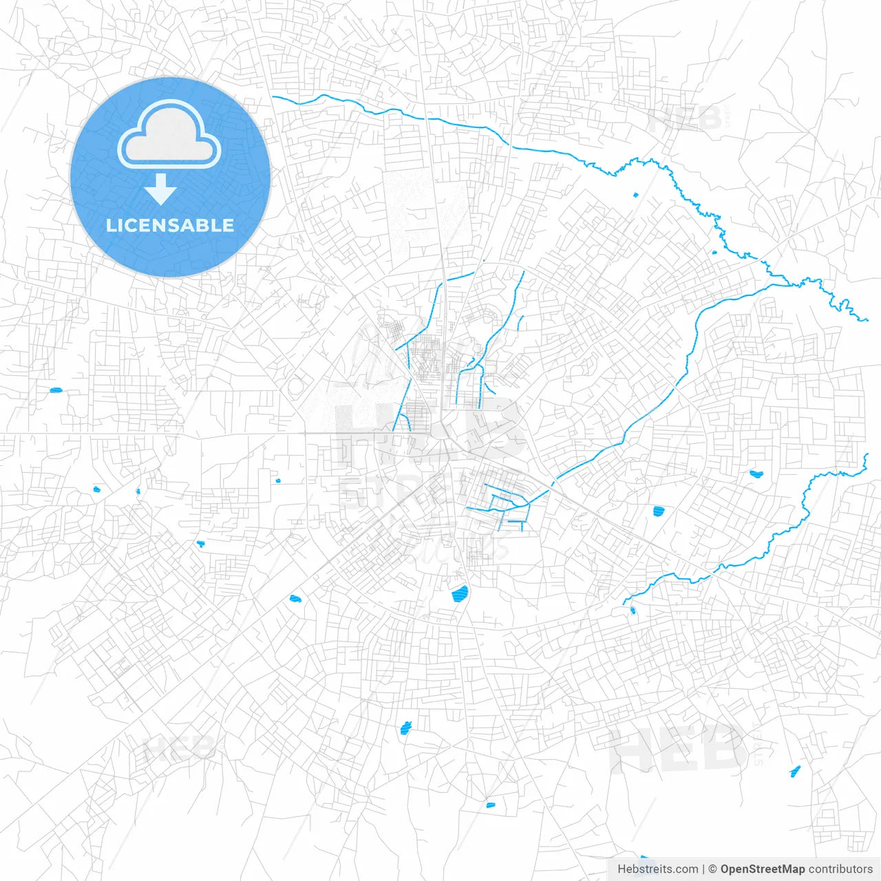 Tamale, Ghana PDF vector map with water in focus