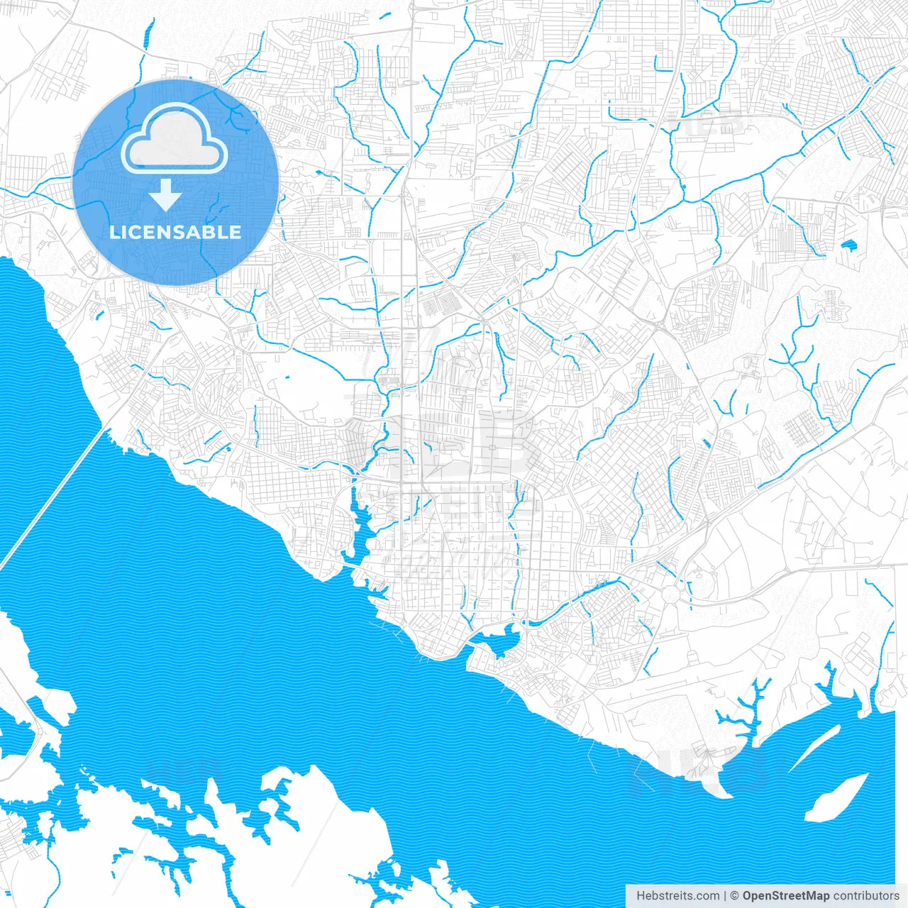 Manaus, Brazil PDF vector map with water in focus