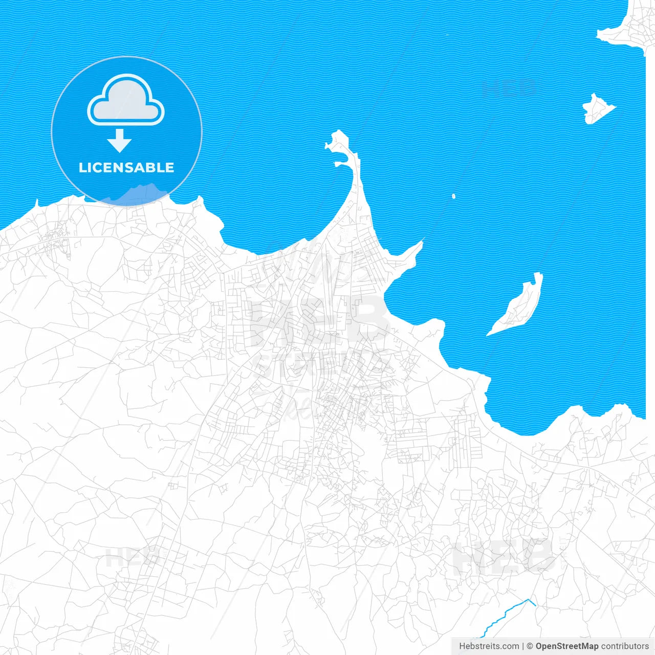 Musoma, Tanzania PDF vector map with water in focus