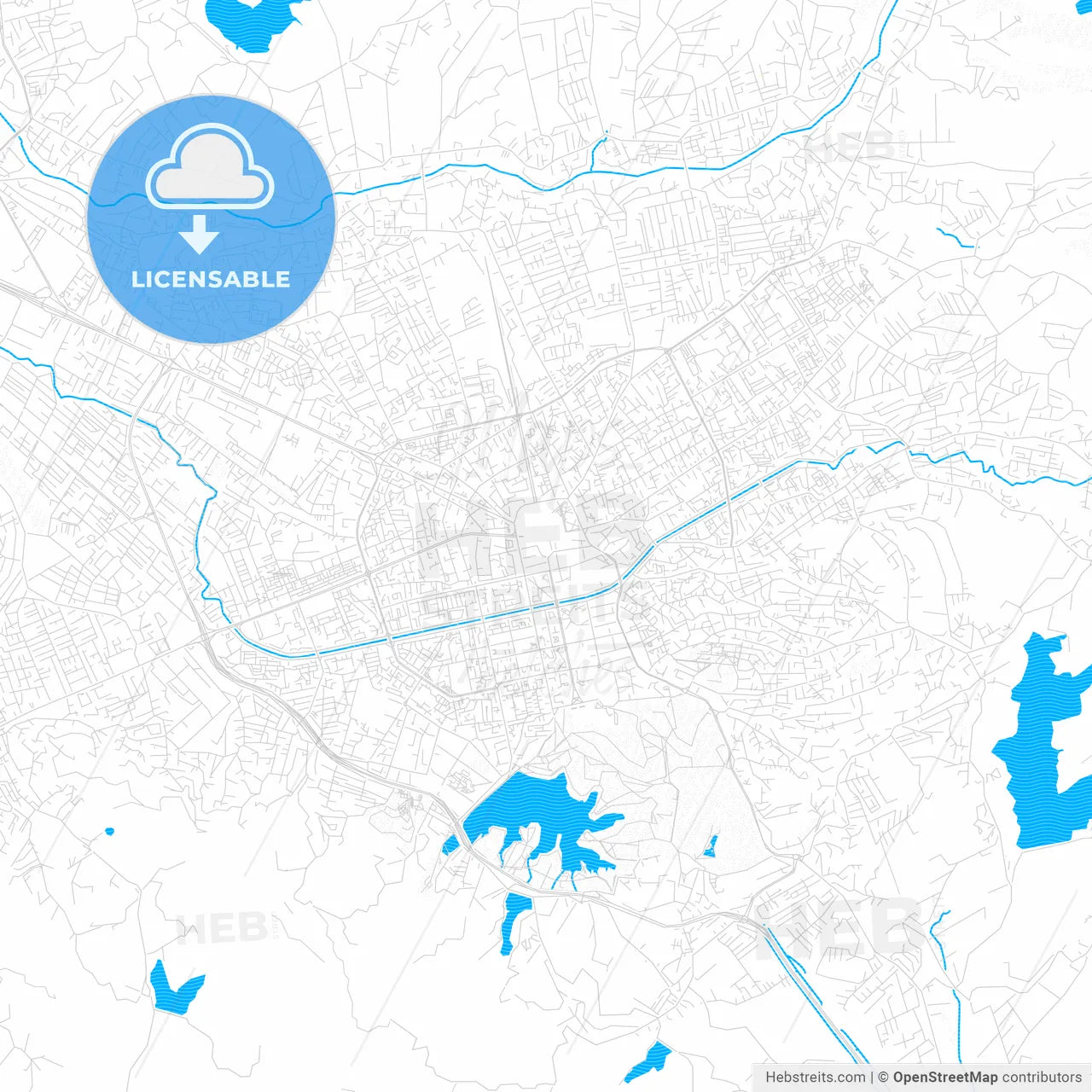 Tirana, Albania PDF vector map with water in focus