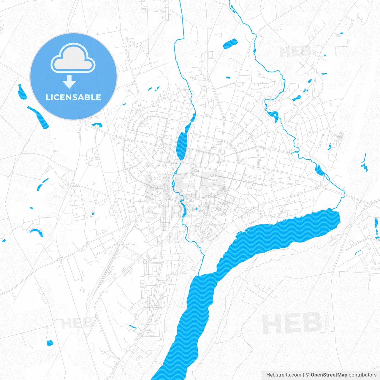 Viljandi, Estonia PDF vector map with water in focus