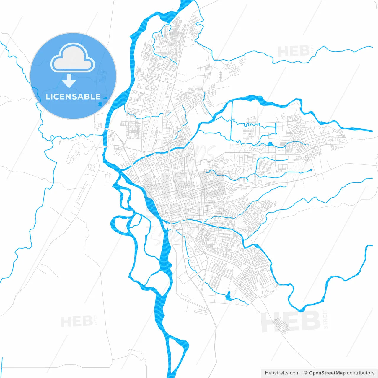 Neiva, Colombia PDF vector map with water in focus