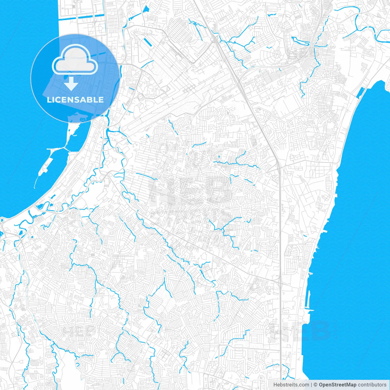 Parañaque, Philippines PDF vector map with water in focus