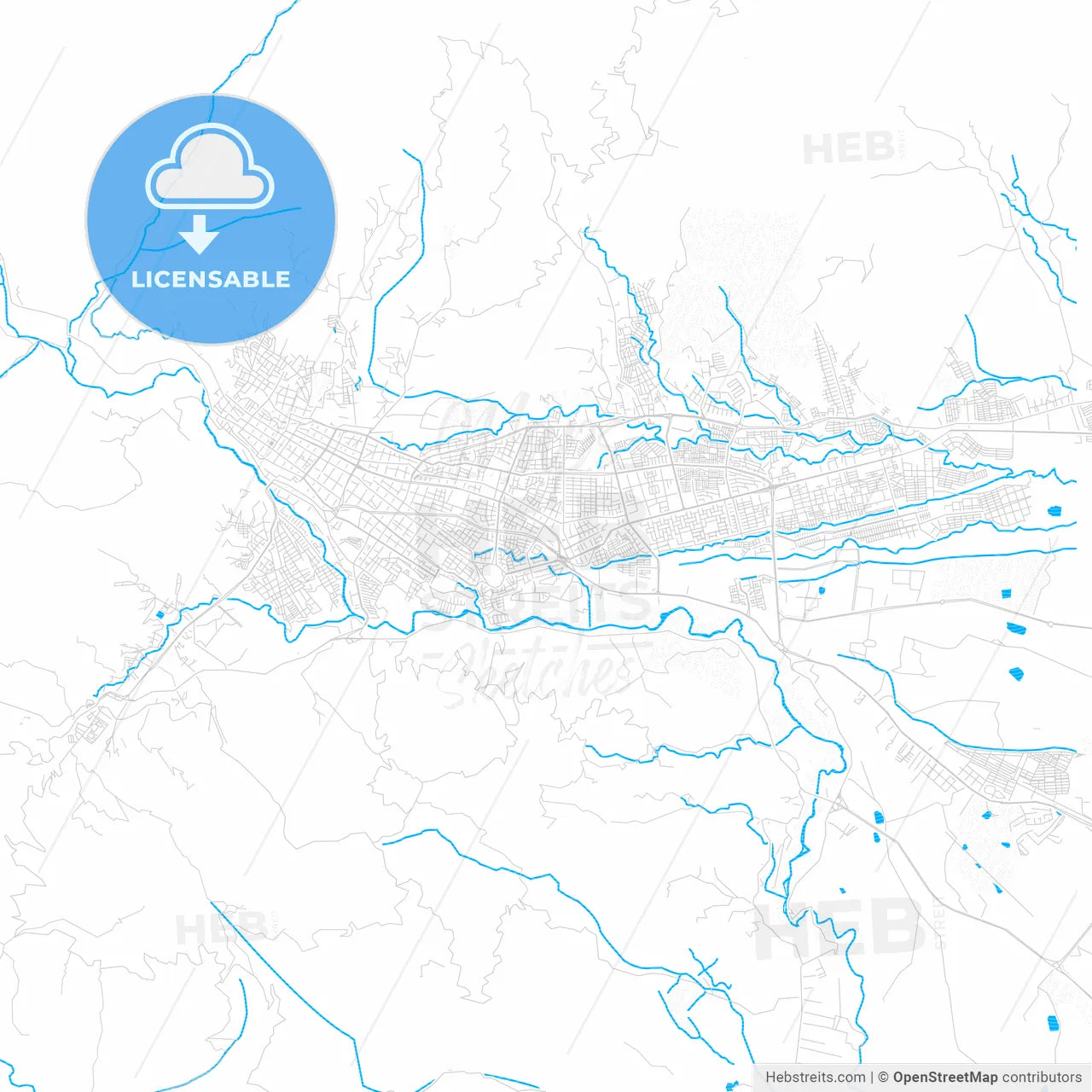 Ibague, Colombia PDF vector map with water in focus