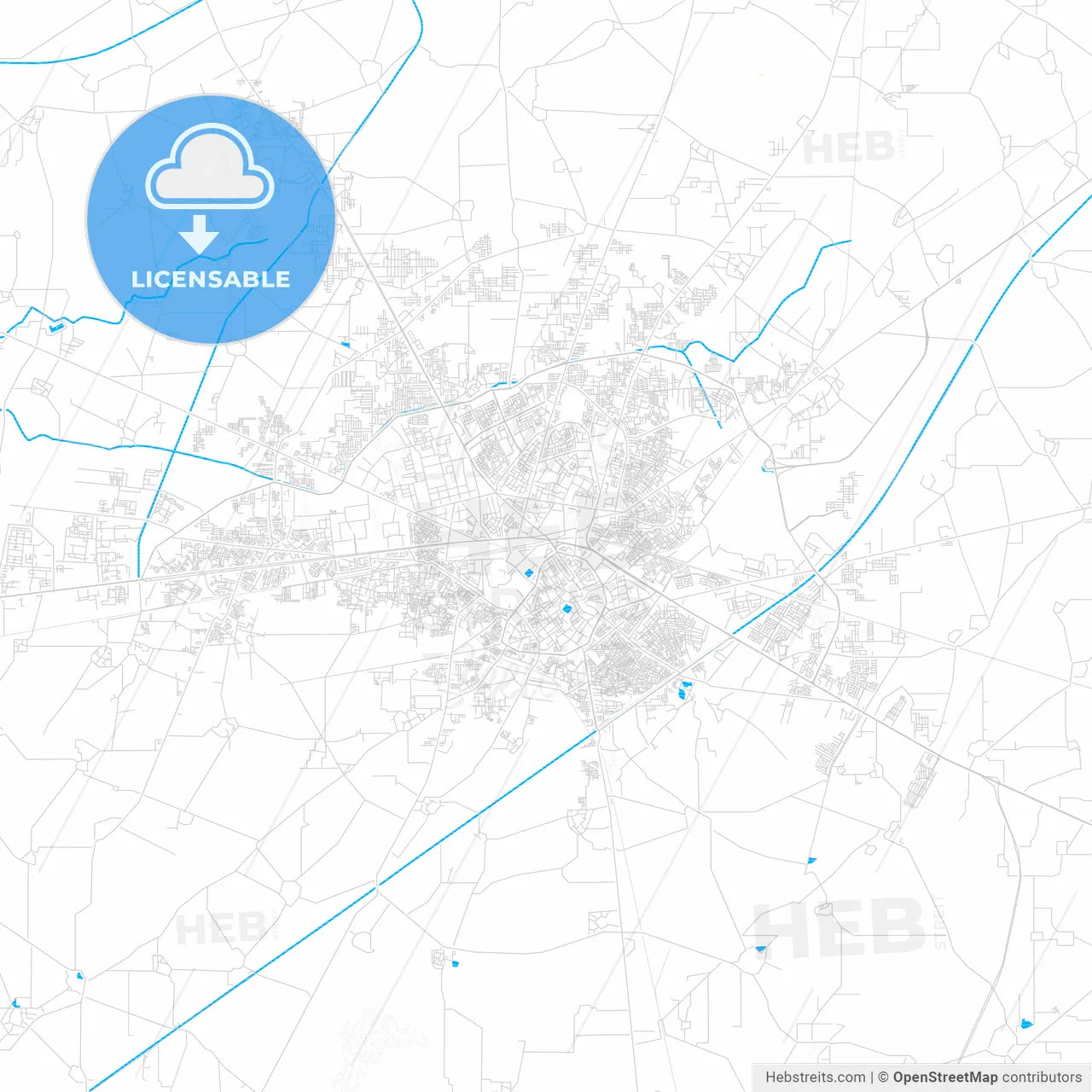 Amritsar, India PDF vector map with water in focus