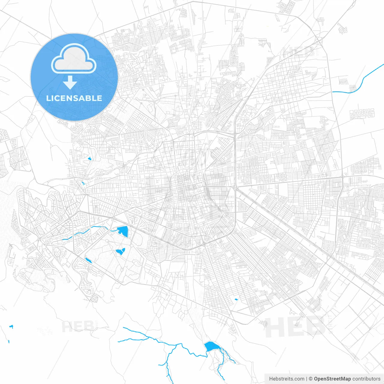 Soledad de Graciano Sánchez, Mexico PDF vector map with water in focus