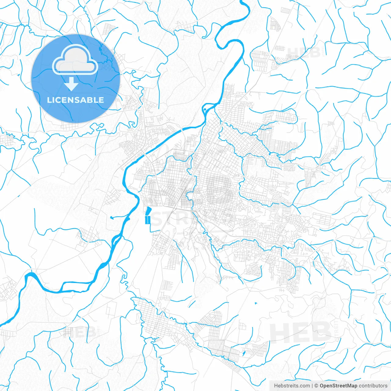 Poza Rica, Mexico PDF vector map with water in focus