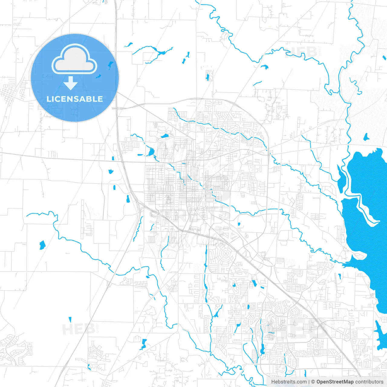 Denton, Texas, United States, PDF vector map with water in focus