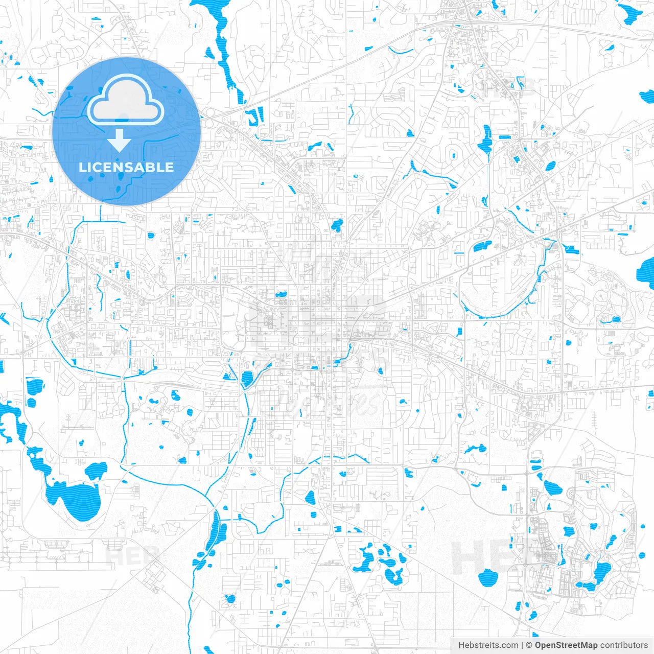 Tallahassee, Florida, United States, PDF vector map with water in focus