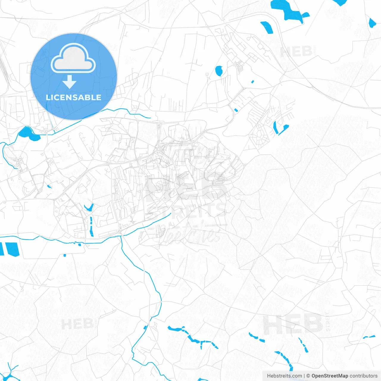 Jastrzębie Zdrój, Poland PDF vector map with water in focus