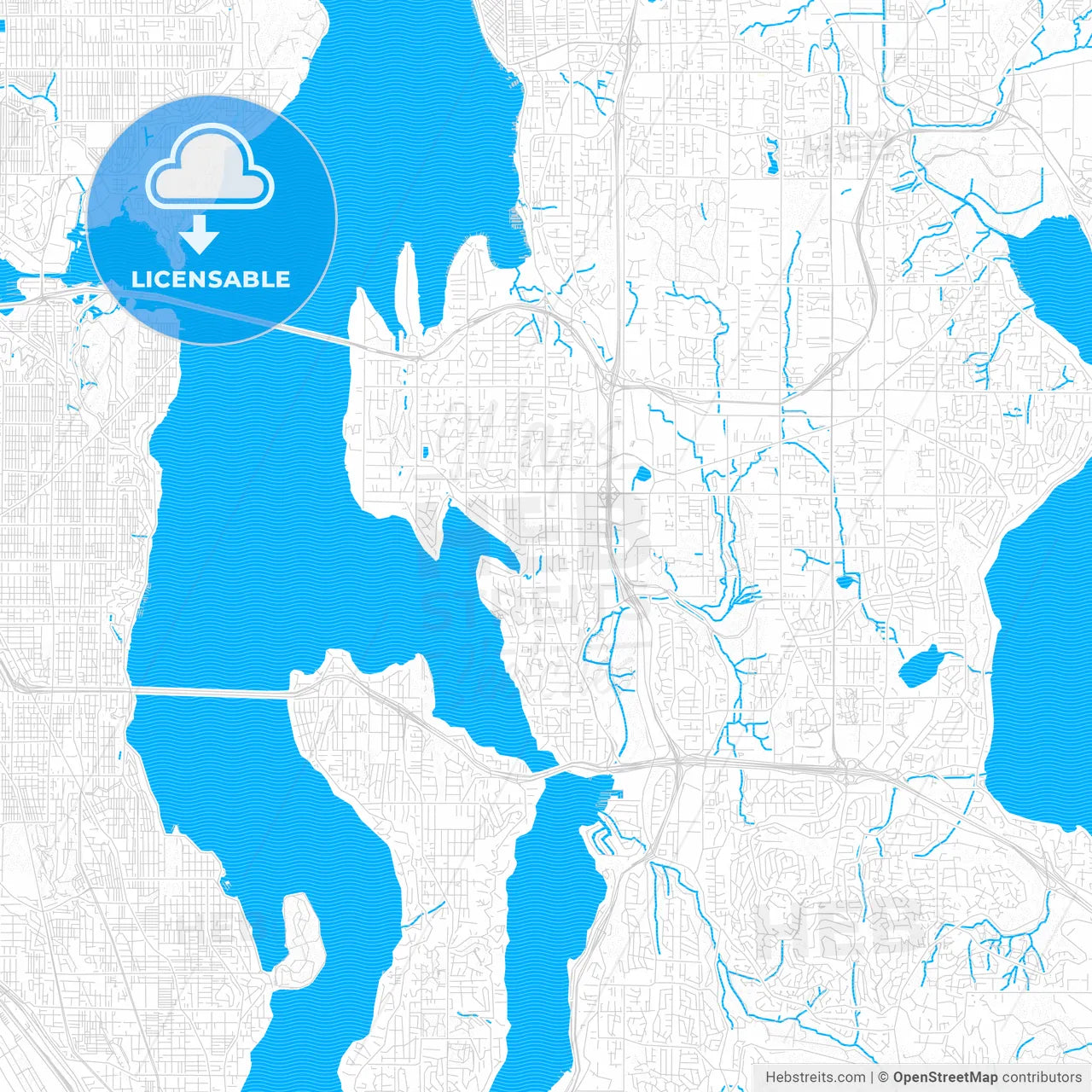 Bellevue, Washington, United States, PDF vector map with water in focus