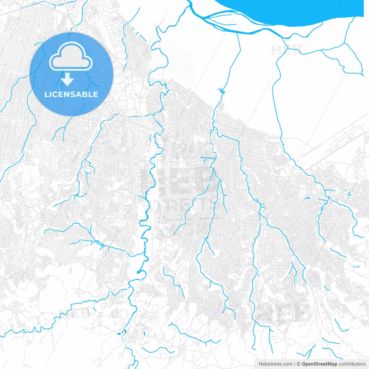Masina, DR Congo PDF vector map with water in focus