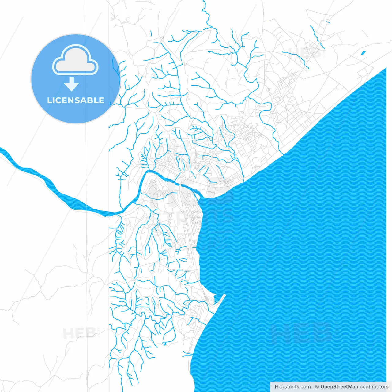 Kalemie, DR Congo PDF vector map with water in focus