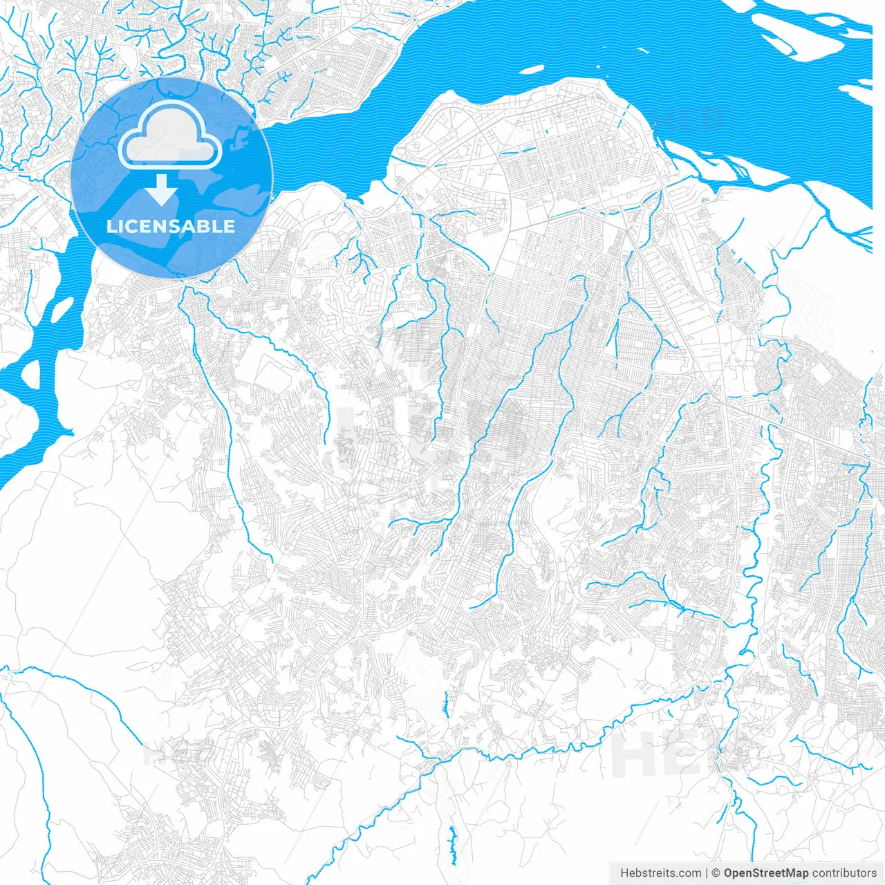 Kinshasa, DR Congo PDF vector map with water in focus