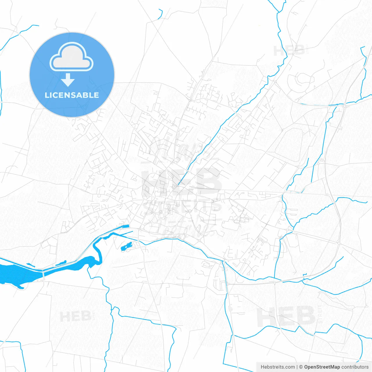 Tralee, Ireland PDF vector map with water in focus