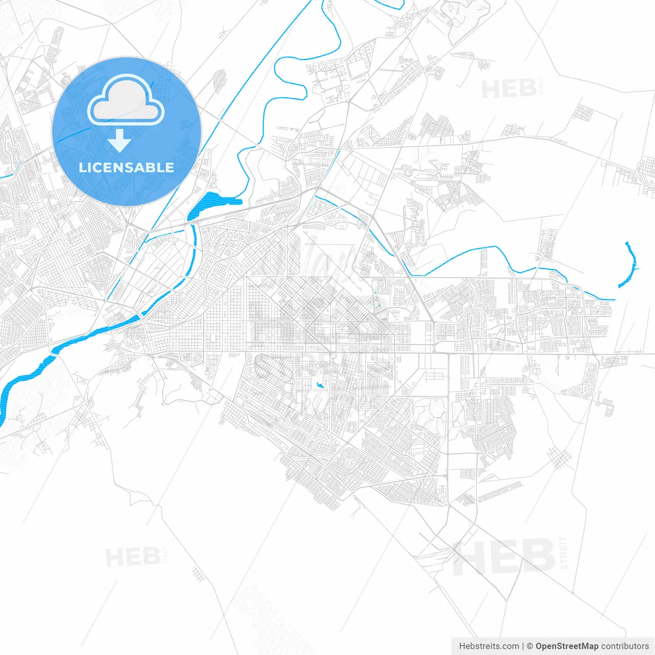 Torreón, Mexico PDF vector map with water in focus