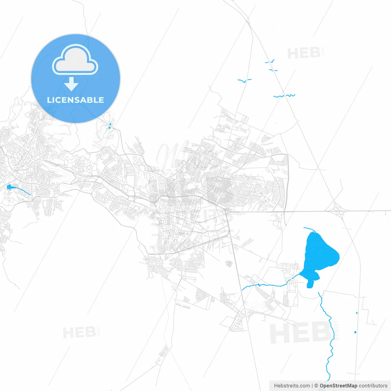 Guadalupe, Mexico PDF vector map with water in focus