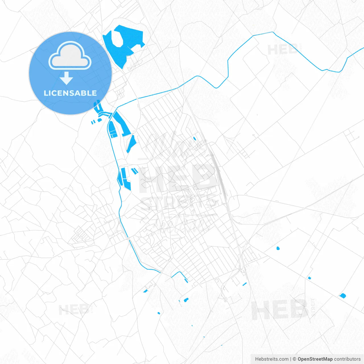 Kiskunhalas, Hungary PDF vector map with water in focus