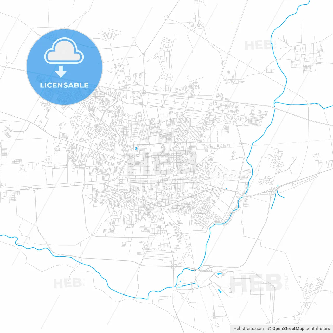 Celaya, Mexico PDF vector map with water in focus