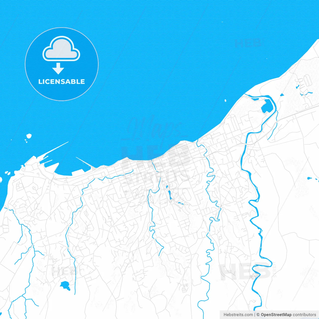 New Plymouth, New Zealand PDF vector map with water in focus