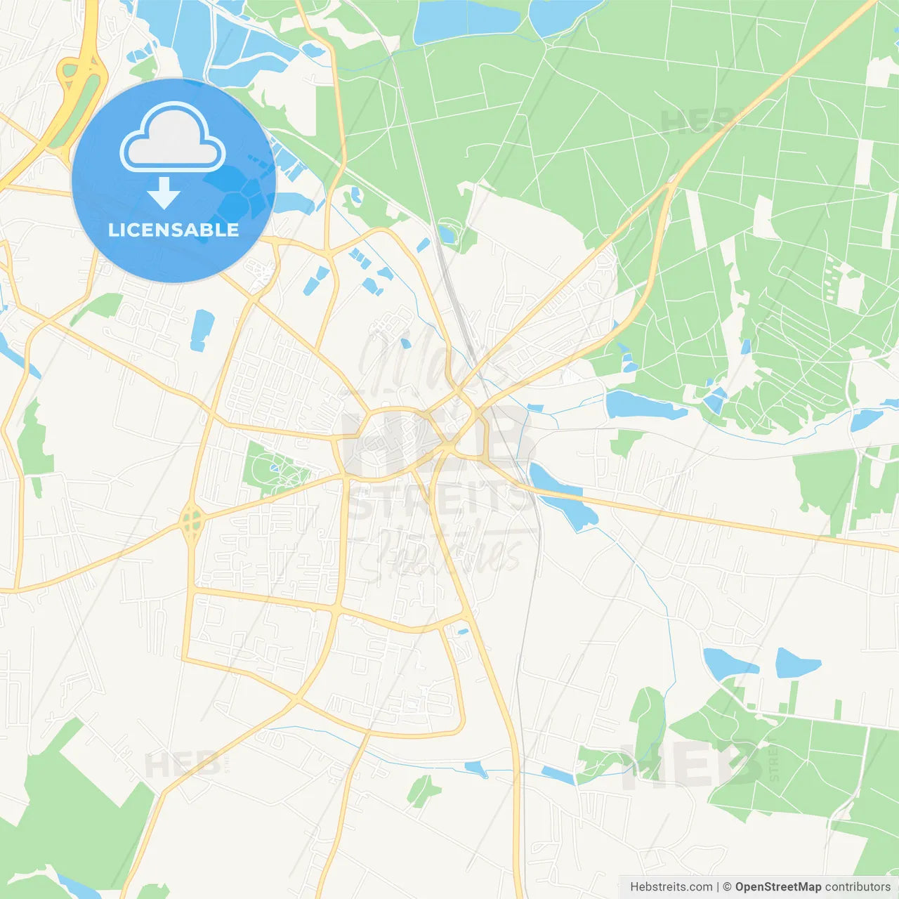 Zory, Poland Vector Map - Classic Colors