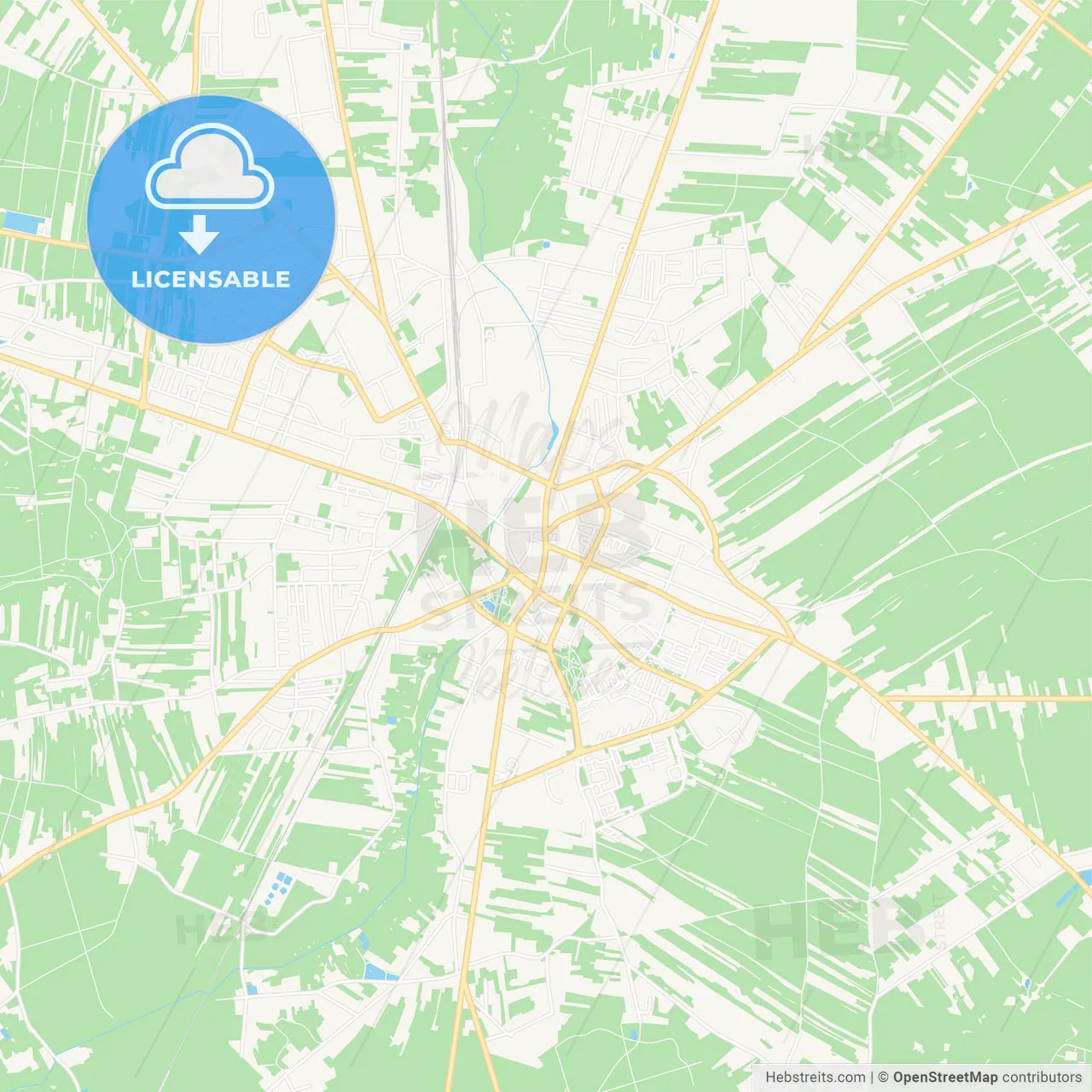 Radomsko, Poland Vector Map - Classic Colors