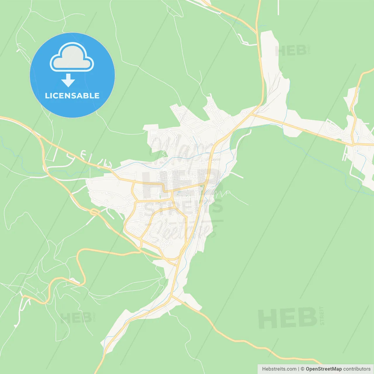 Bardejov, Slovakia Vector Map - Classic Colors