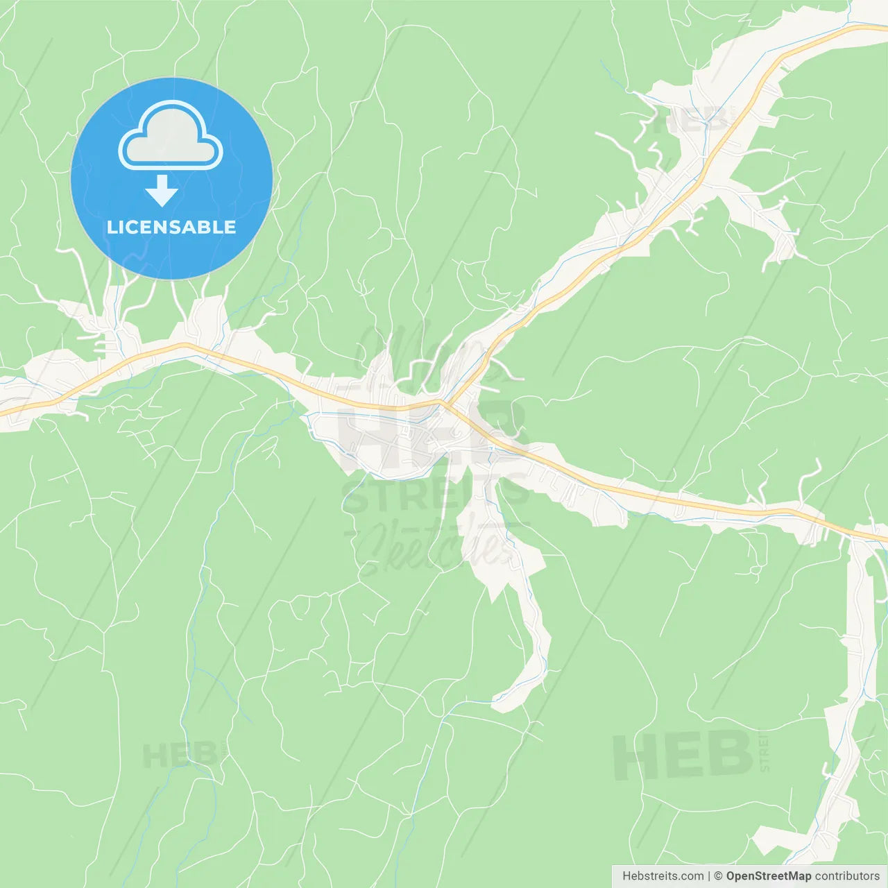 Borsa, Romania Vector Map - Classic Colors