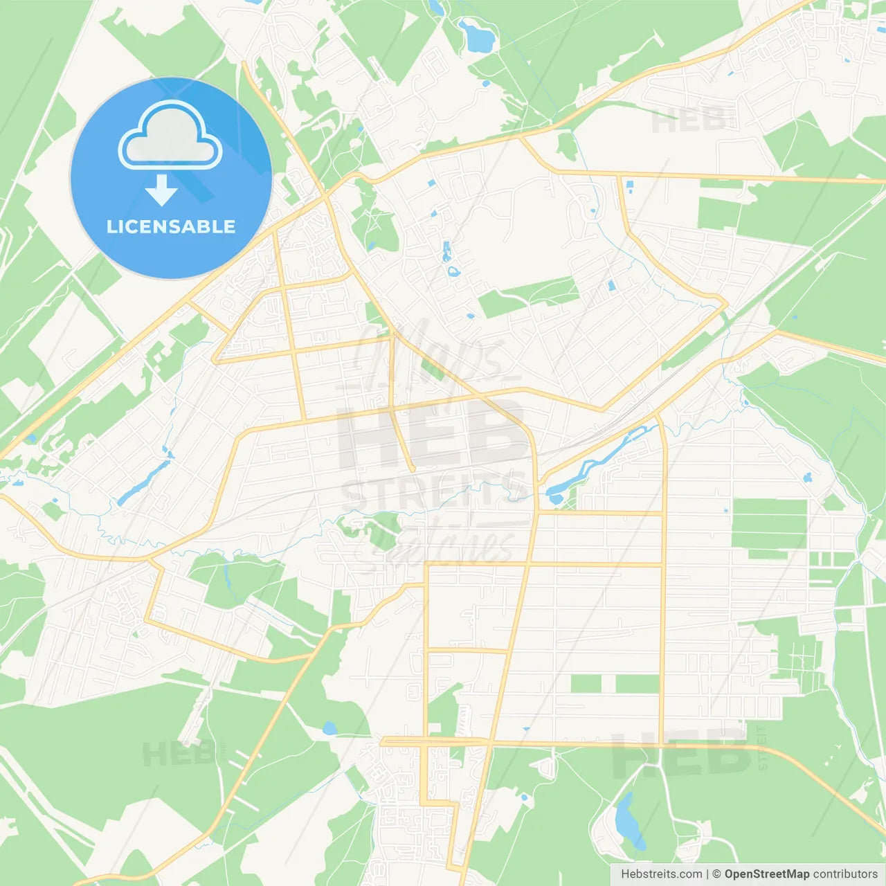 Vsevolozhsk, Russia Vector Map - Classic Colors