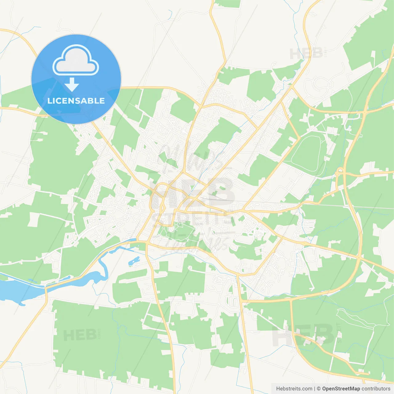 Tralee, Ireland Vector Map - Classic Colors