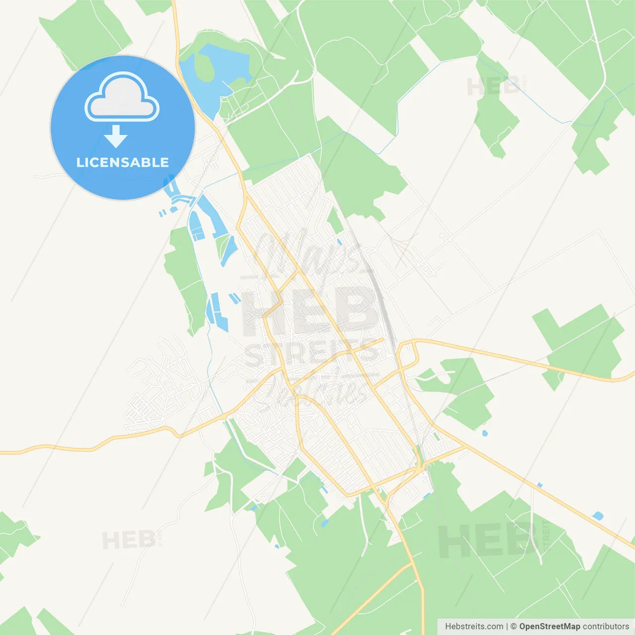 Kiskunhalas, Hungary Vector Map - Classic Colors