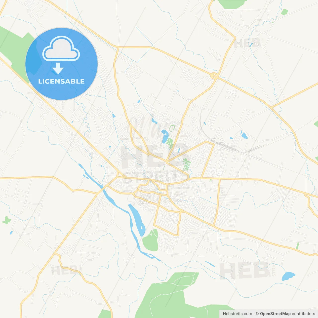 Kolomyia, Ukraine Vector Map - Classic Colors