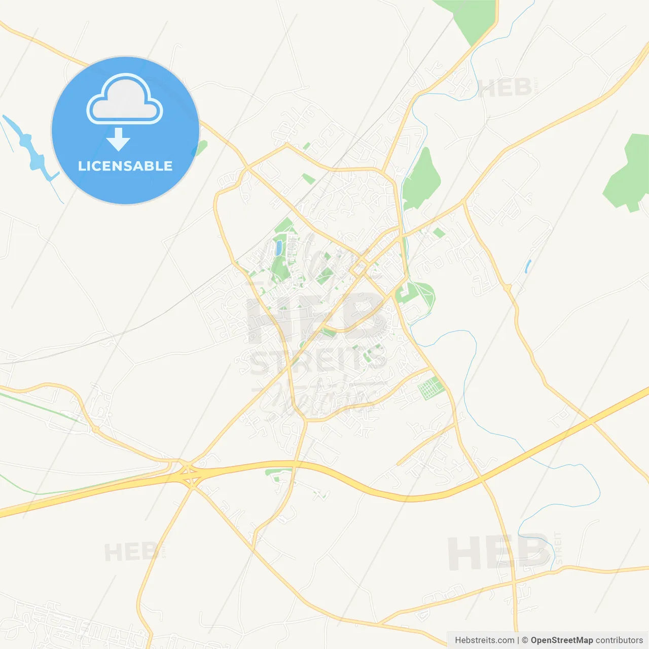 Newbridge, Ireland Vector Map - Classic Colors