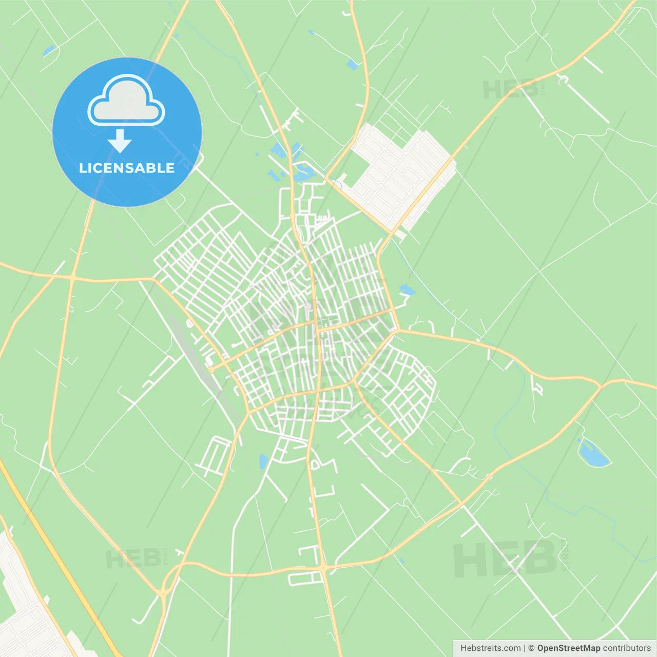 Kiskunfelegyhaza, Hungary Vector Map - Classic Colors