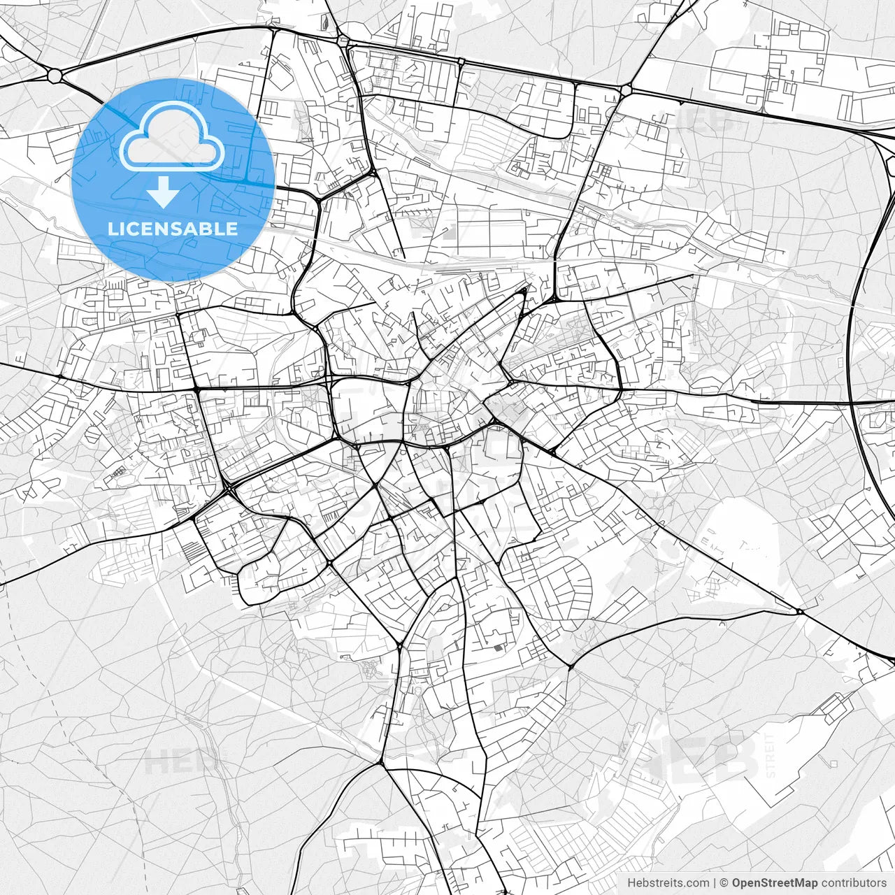 Vector PDF map of Zielona Góra, Poland