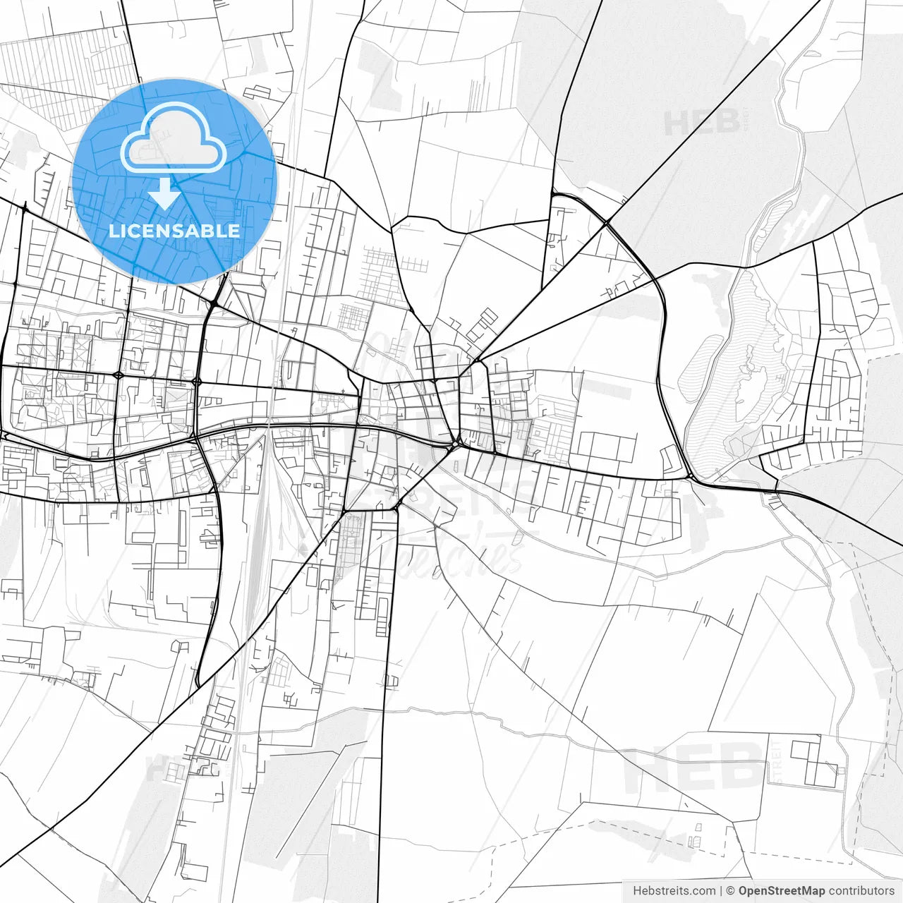 Vector PDF map of Piotrków Trybunalski, Poland