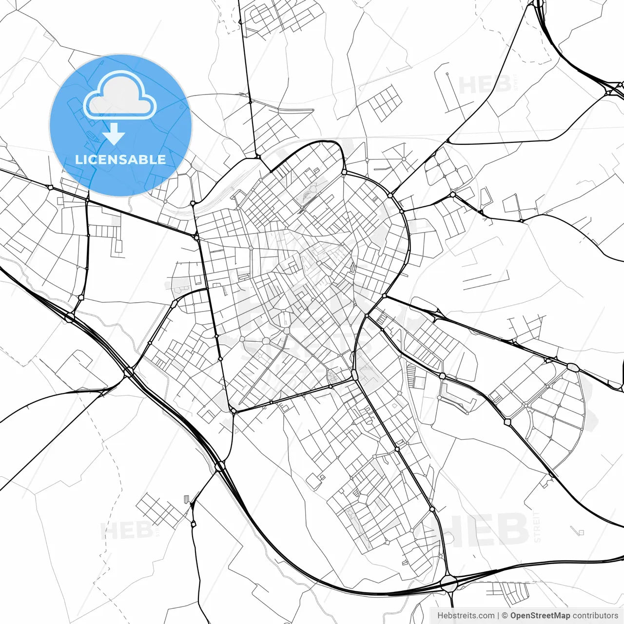 Vector PDF map of Reus, Spain