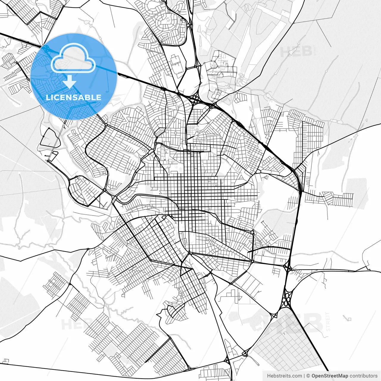 Vector PDF map of Sao Carlos, Brazil