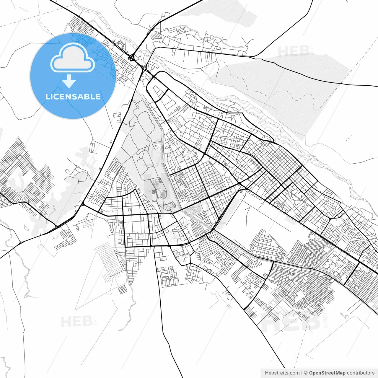 Vector PDF map of Barinas, Venezuela