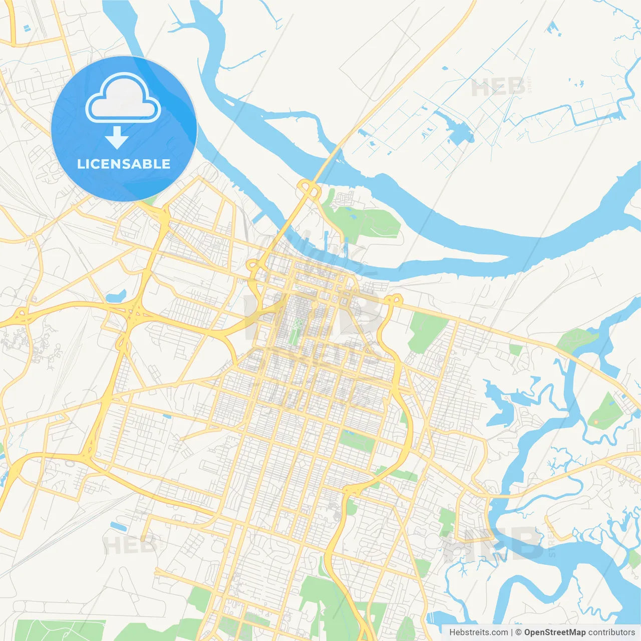 Empty vector map of Savannah, Georgia, USA