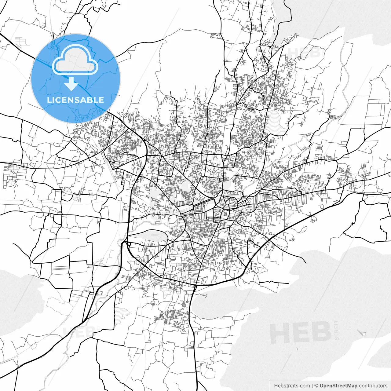 Vector PDF map of Salem, India