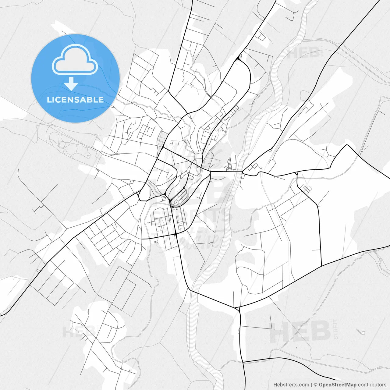 Vector PDF map of Reghin, Romania
