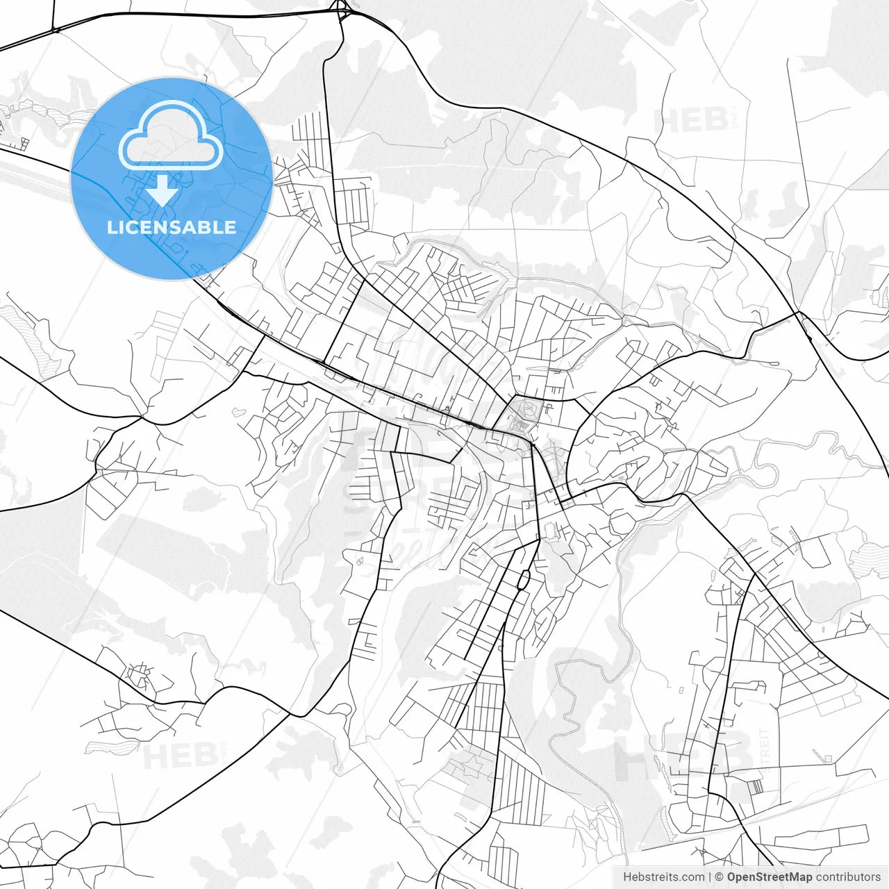 Vector PDF map of Lubny, Ukraine
