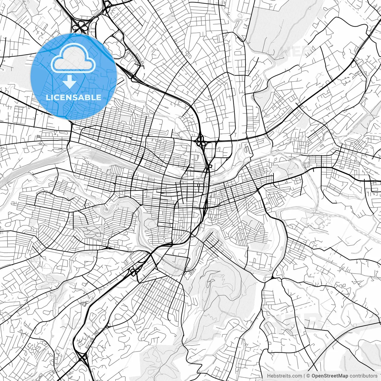 Vector PDF map of Roanoke, Virginia, United States