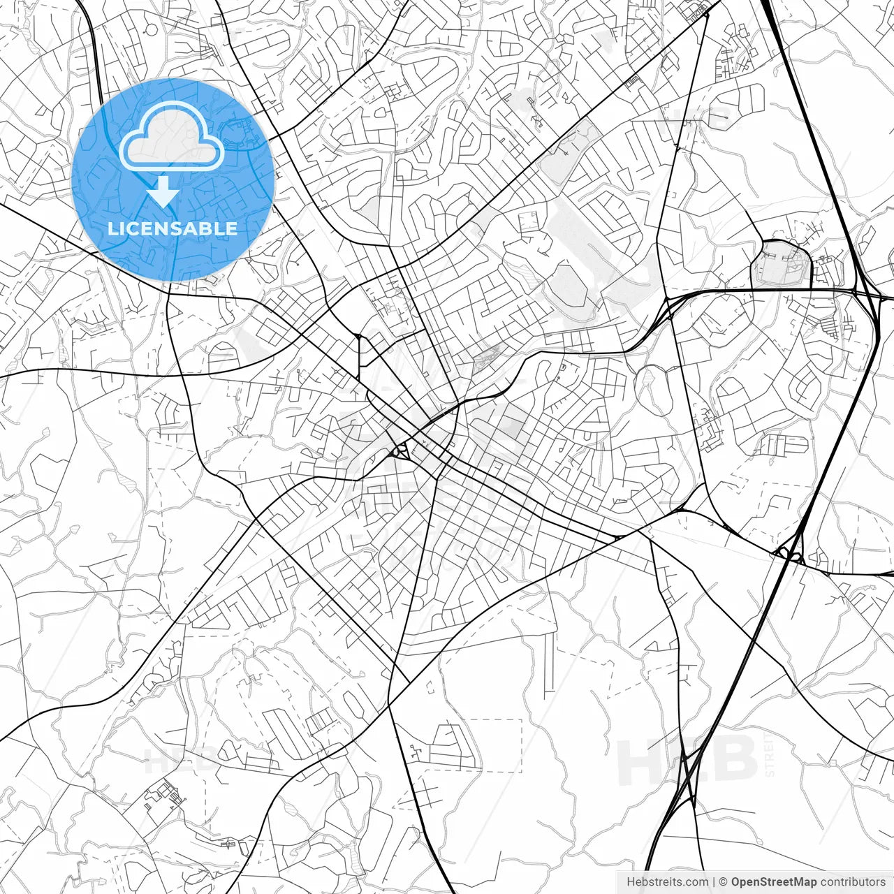 Vector PDF map of Rock Hill, South Carolina, United States