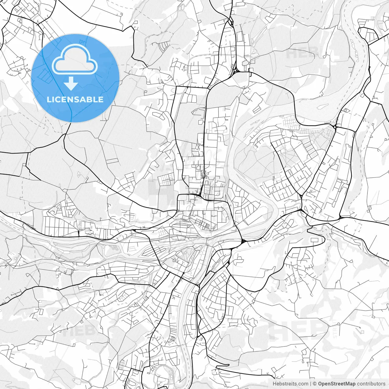Vector PDF map of Steyr, Austria